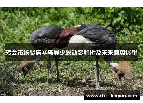 转会市场聚焦塞鸟吴少聪动态解析及未来趋势展望 转会市场聚焦塞鸟吴少聪动态解析及未来趋势展望