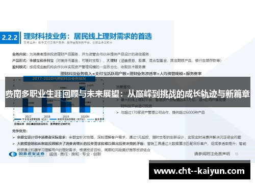 费南多职业生涯回顾与未来展望：从巅峰到挑战的成长轨迹与新篇章